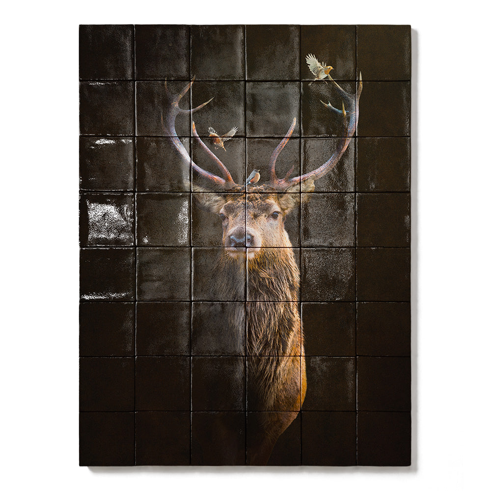 formaat 60 x 80 cm