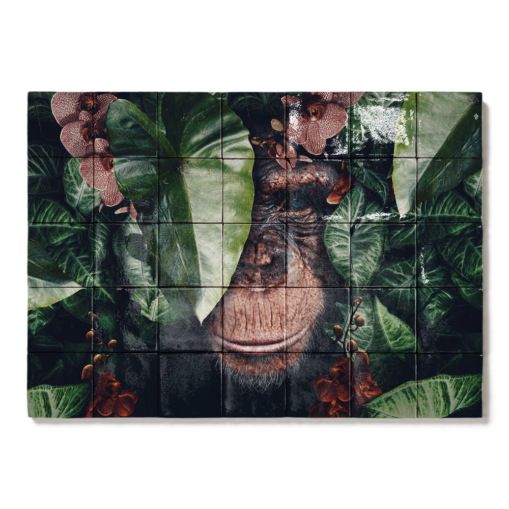 formaat 70 x 50 cm