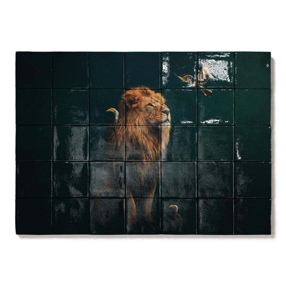 formaat 70 x 50 cm