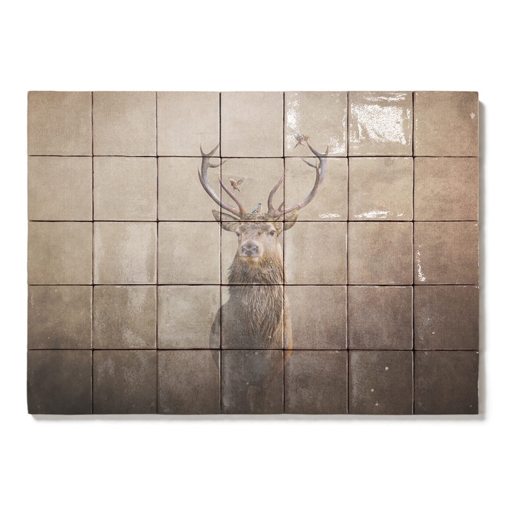 formaat 70 x 50 cm
