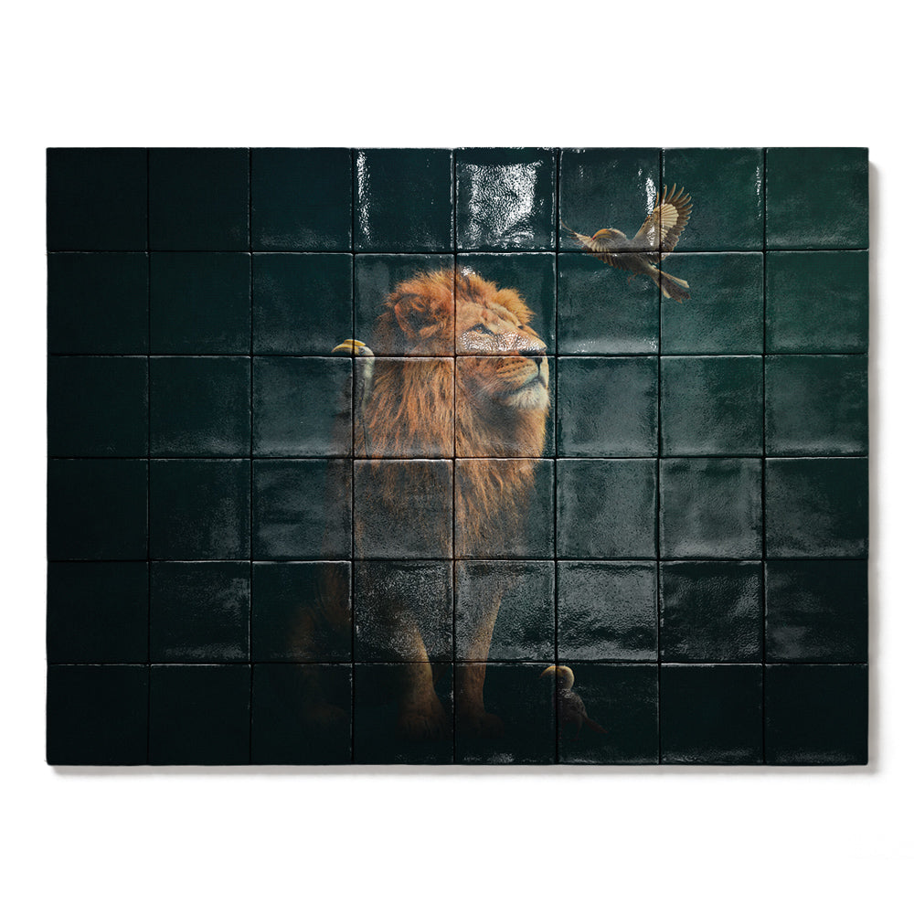 formaat 80 x 60 cm