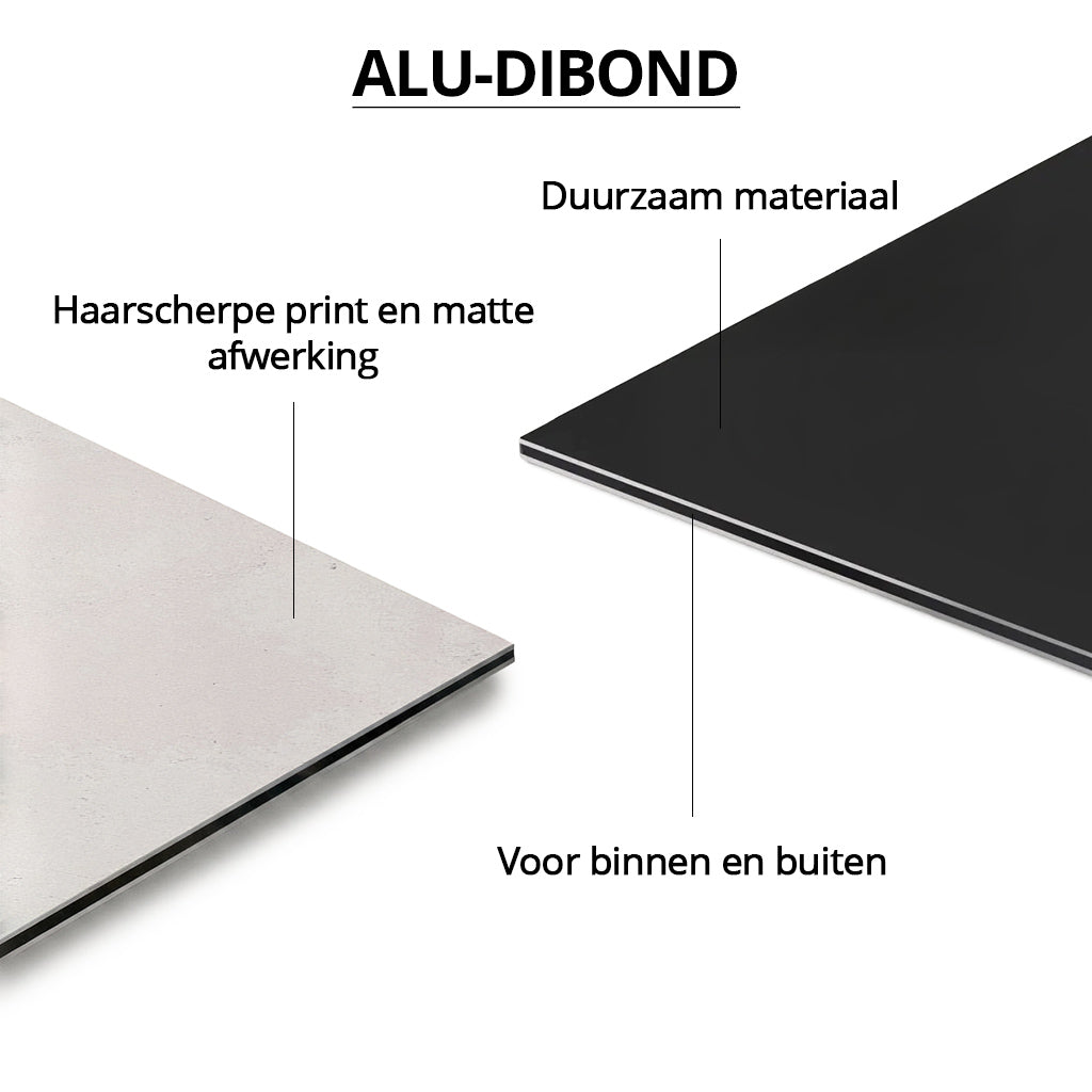 Botanical Hummingbird