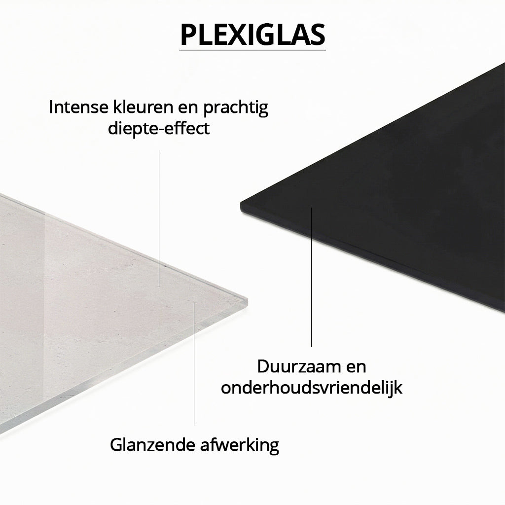 Botanical Hummingbird