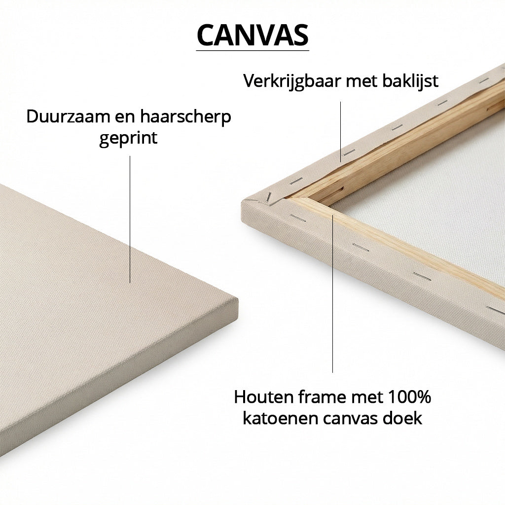 Ornamental Hummingbird