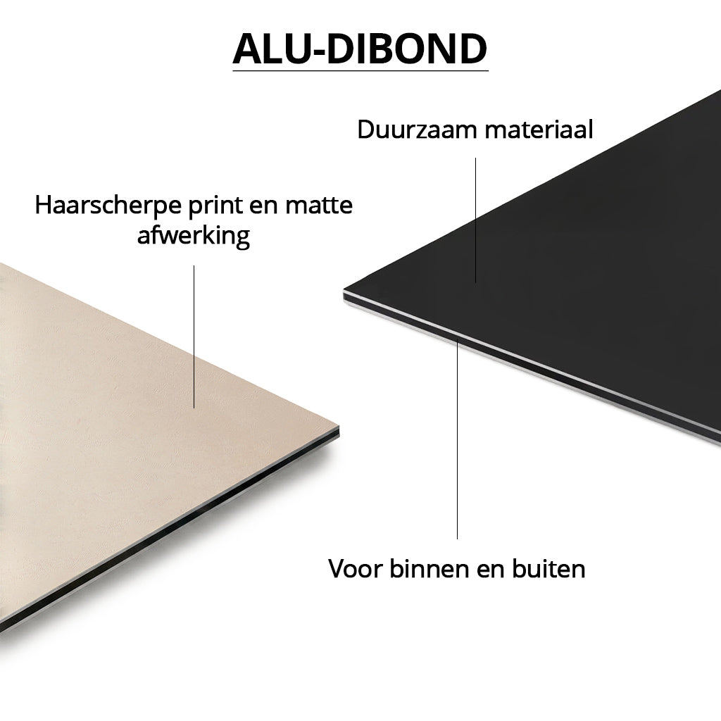 Ornamental Hummingbird