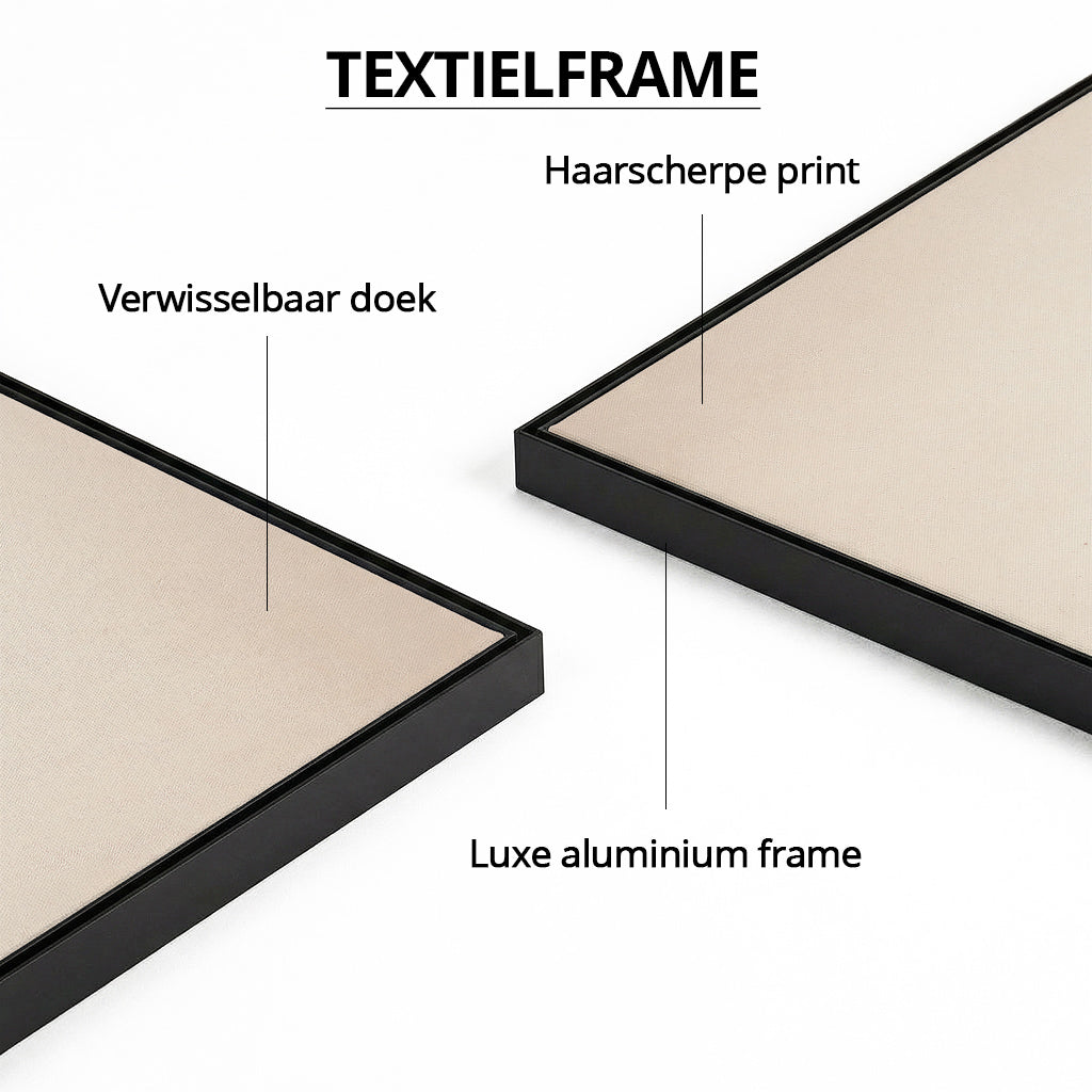 Ornamental Hummingbird