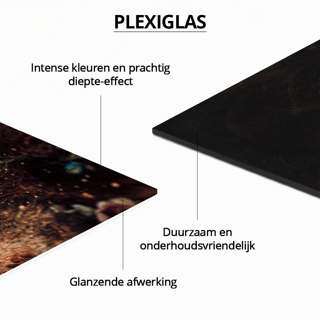 Floral Lion Portrait