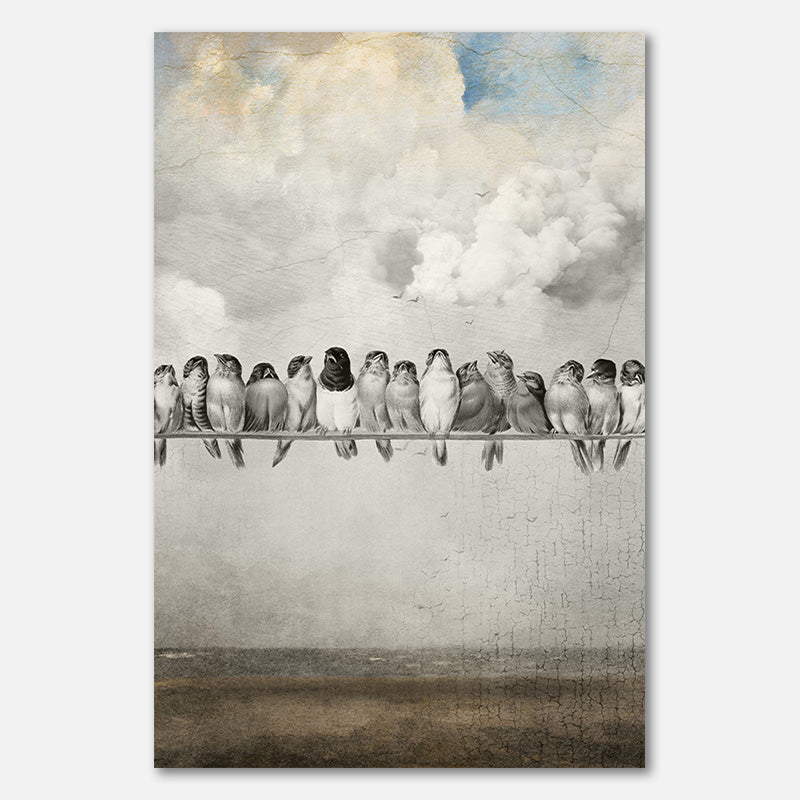 Alle schönen Vögel