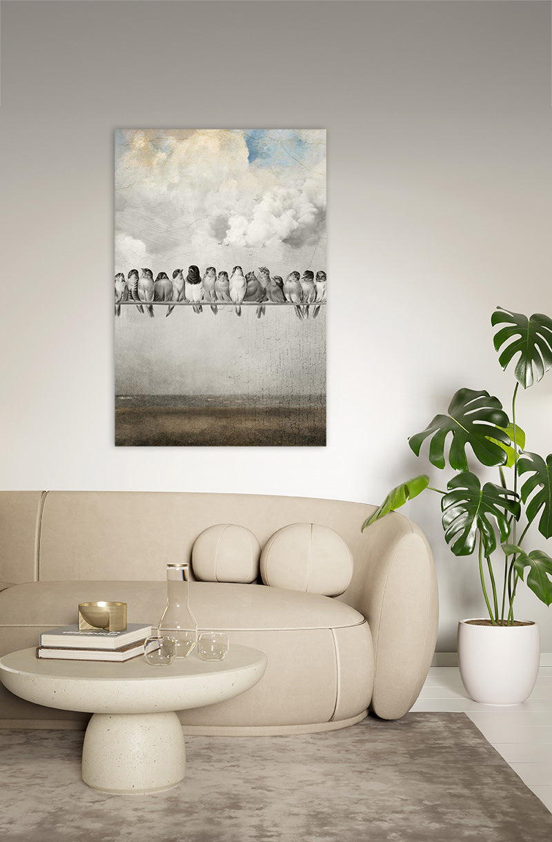 Alle schönen Vögel