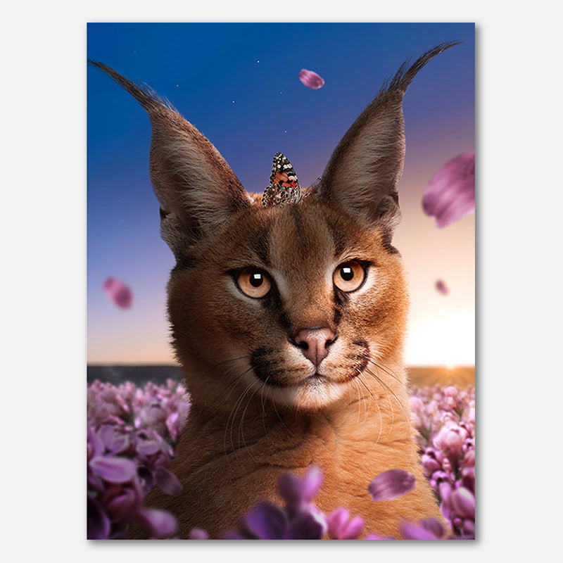 Caracal Flowers