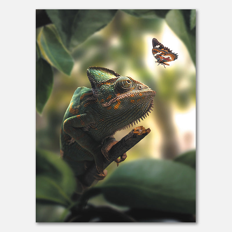 Chamäleon-Schmetterling