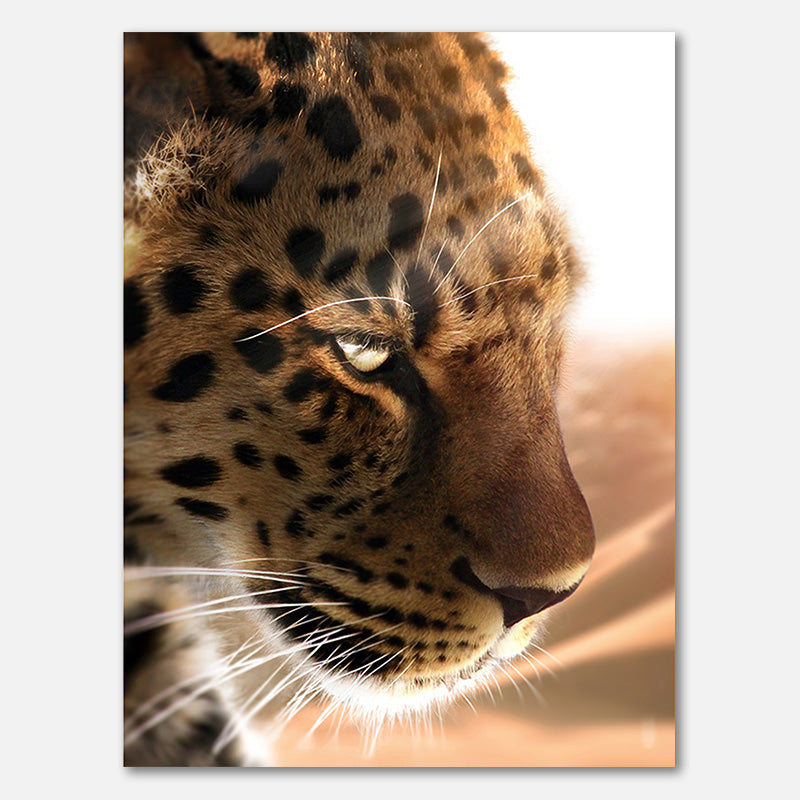 Gepard