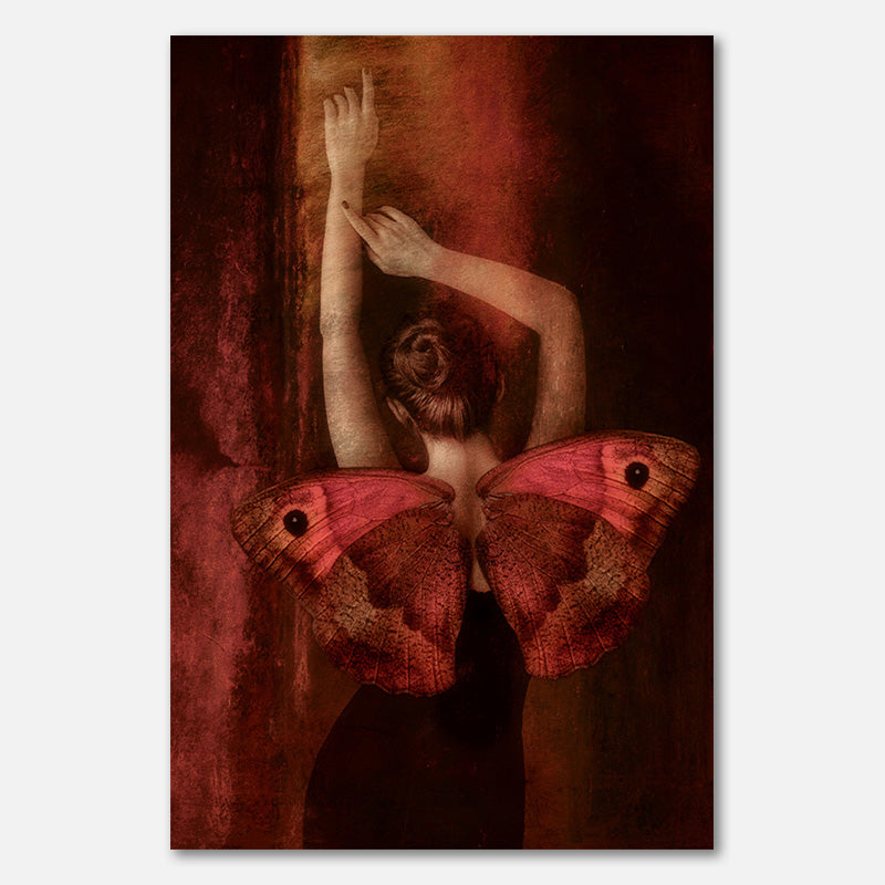 Dance of a Butterfly