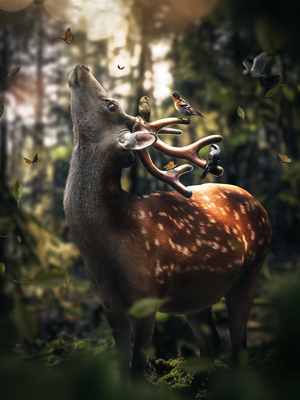 Deer Magical