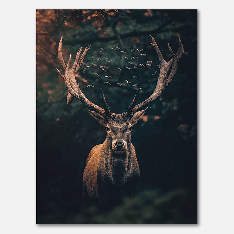 Deer Moody
