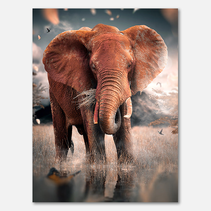 Elefant Einsam