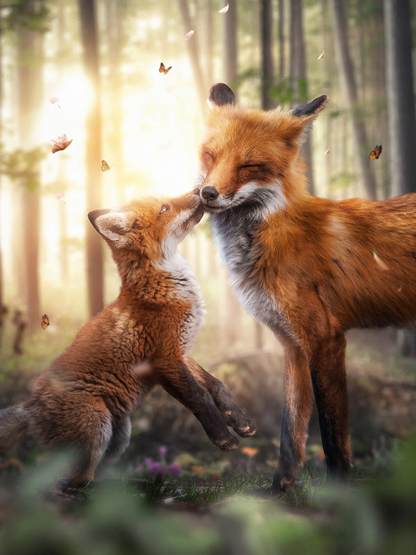 Foxes Magical