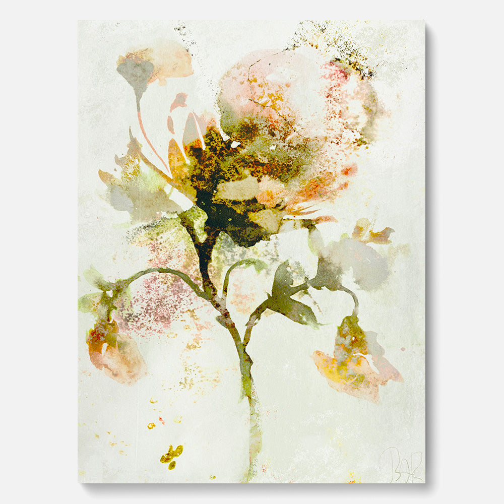 How to Become a Butterfly