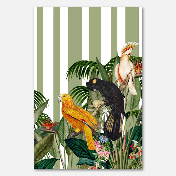 I'ts all about Parrots