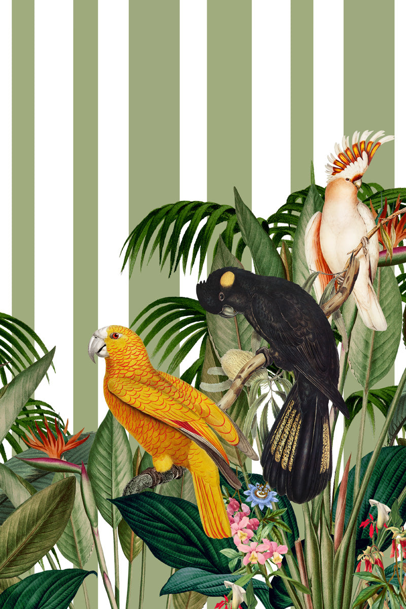 I'ts all about Parrots