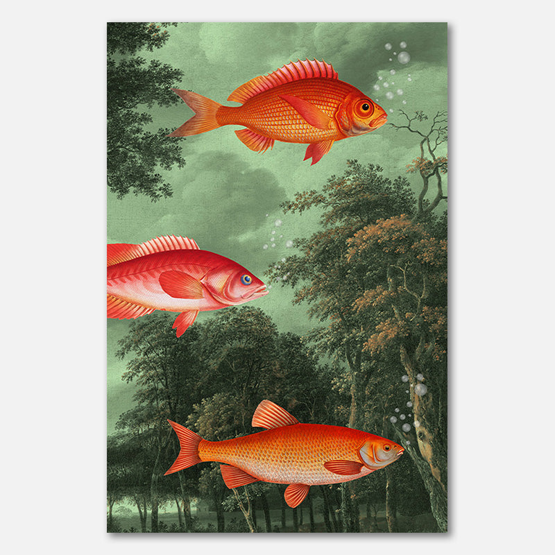 It's The Season of Flying Fish