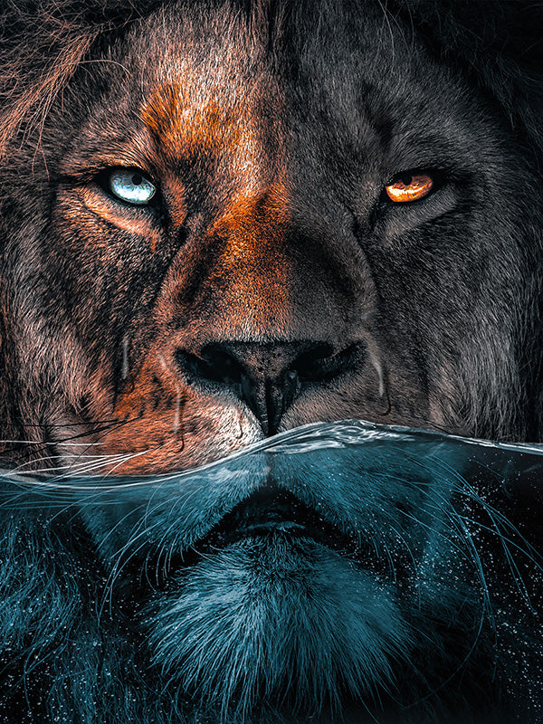 Lion Underwater