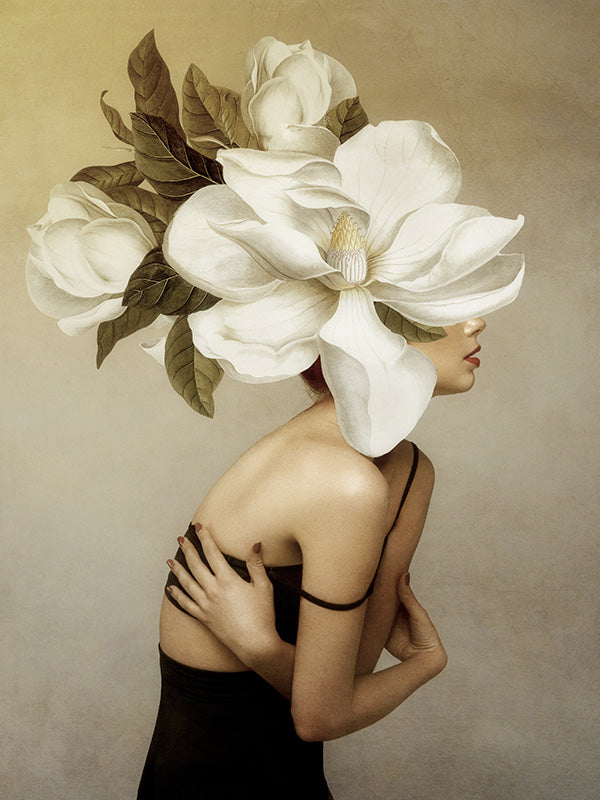 Magnolia Beauty