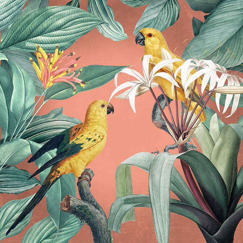 Oh You Pretty Things