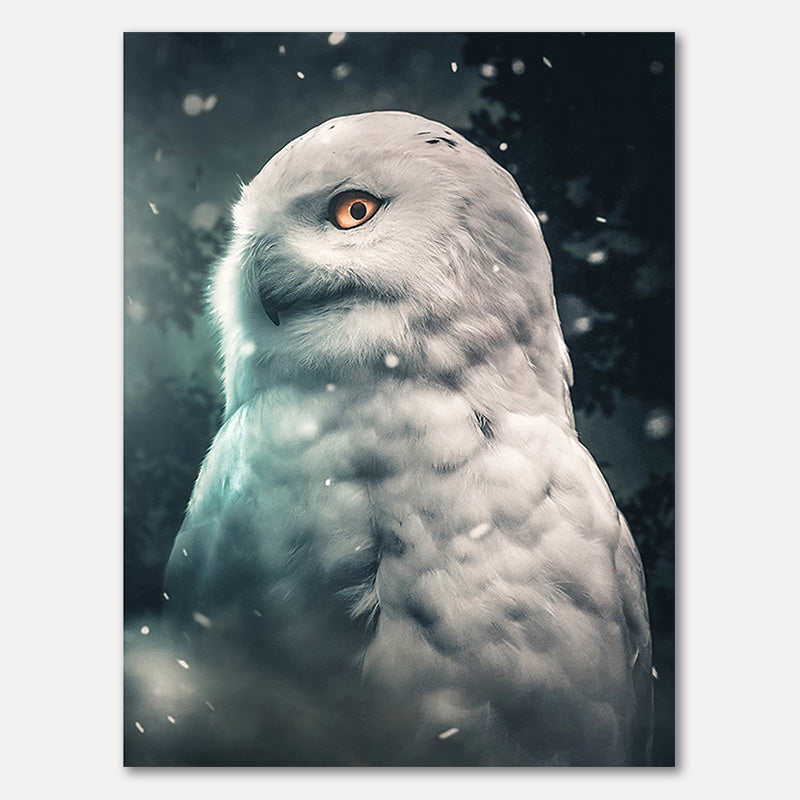 Owl Snowy