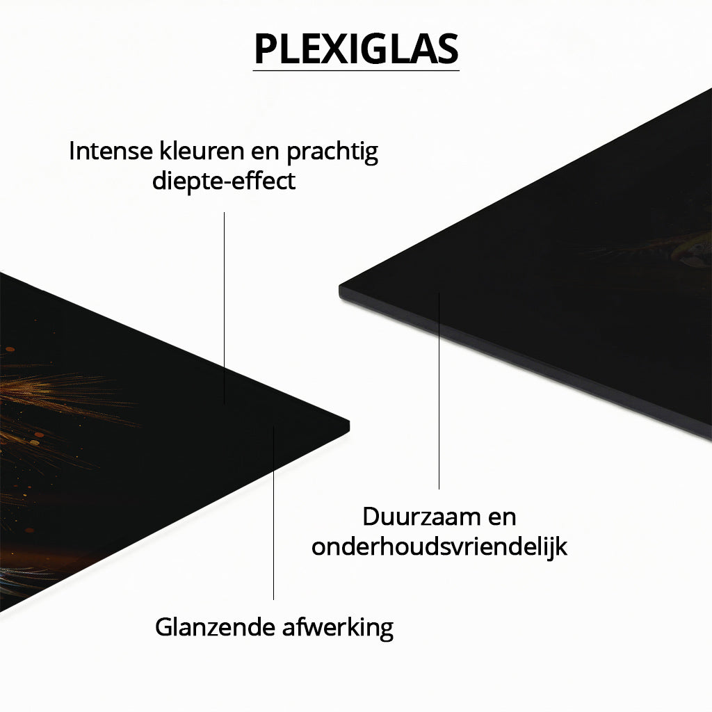 Parrot Paradise Limited Edition