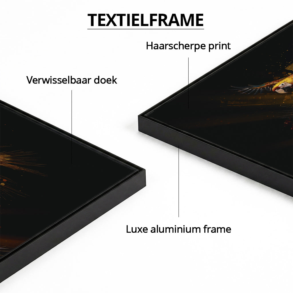 Parrot Paradise Limited Edition