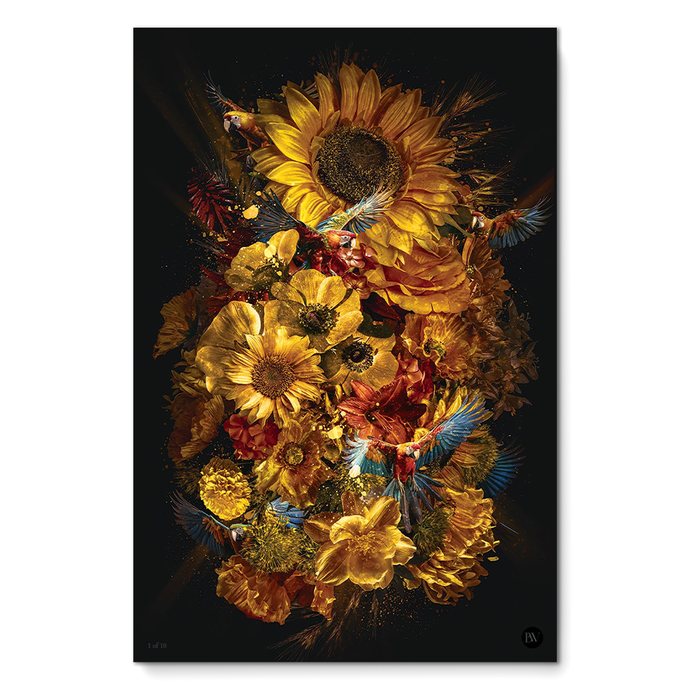 Parrot Paradise Limited Edition