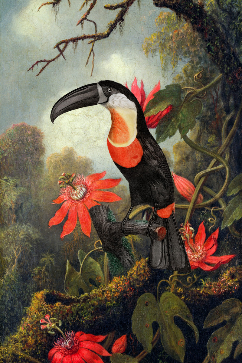 Passionflowers and the Toucan