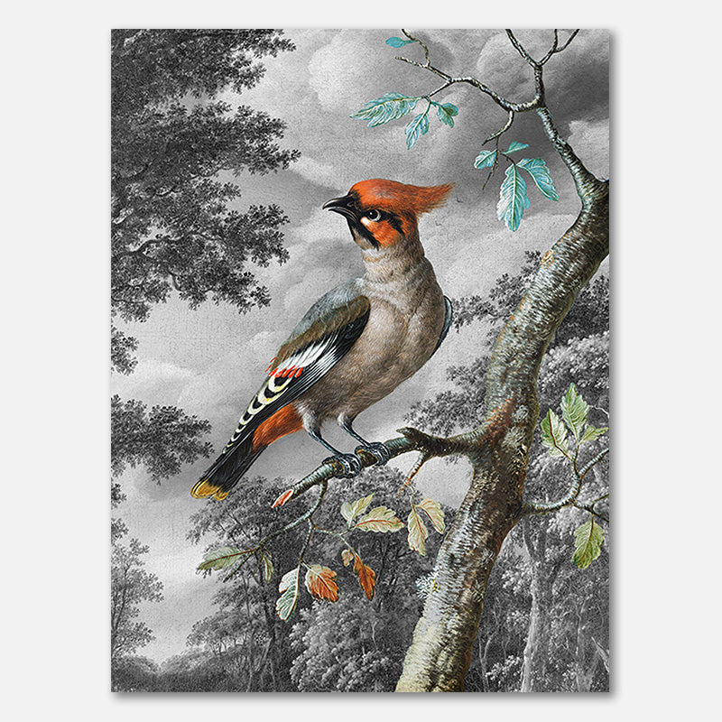 The Bird in the Woods