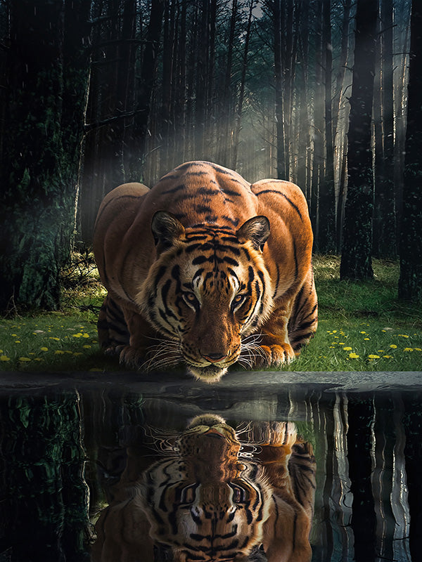 Tiger in the Woods