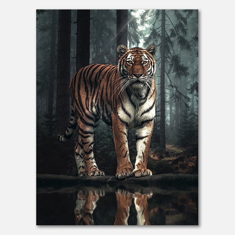 Tiger Reflection