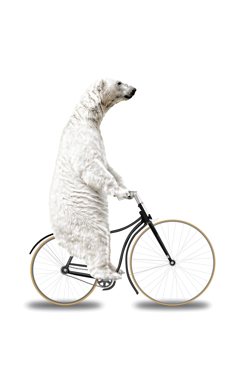 When you Think you've Seen Everything