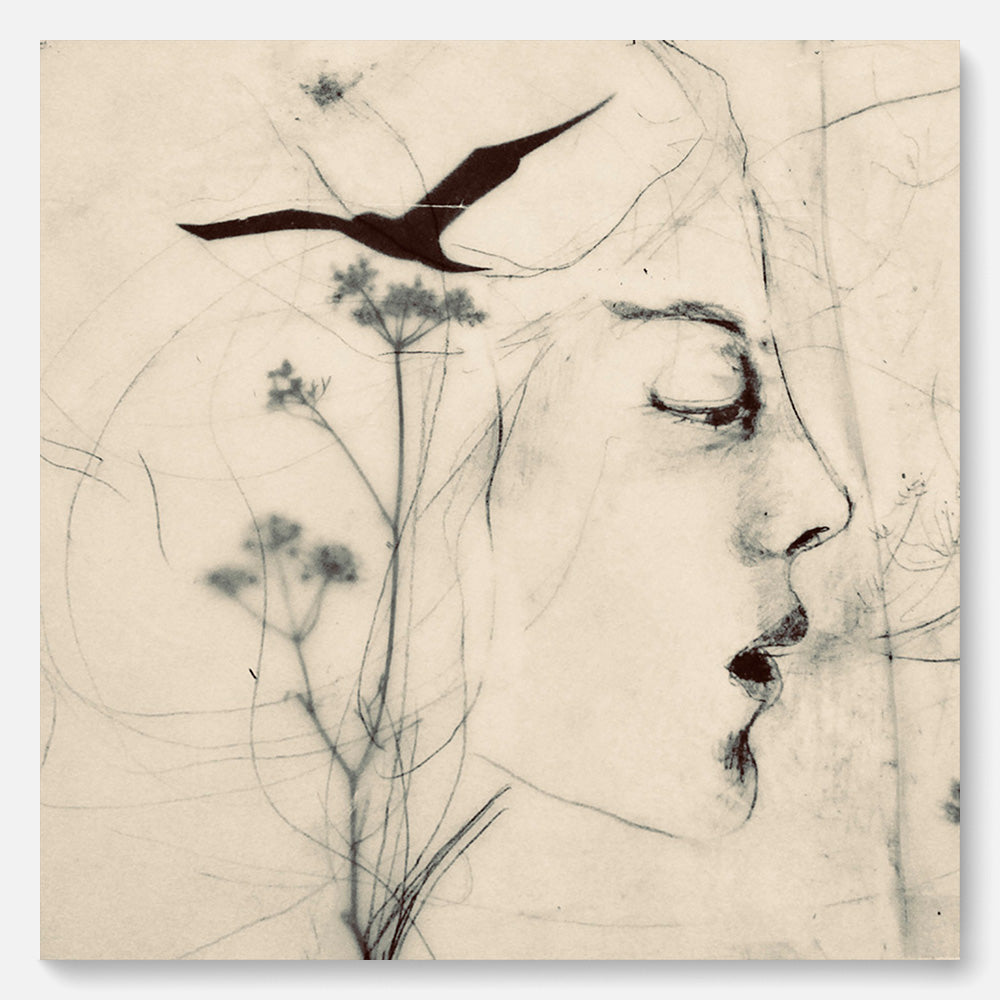 Where the Birds Grow