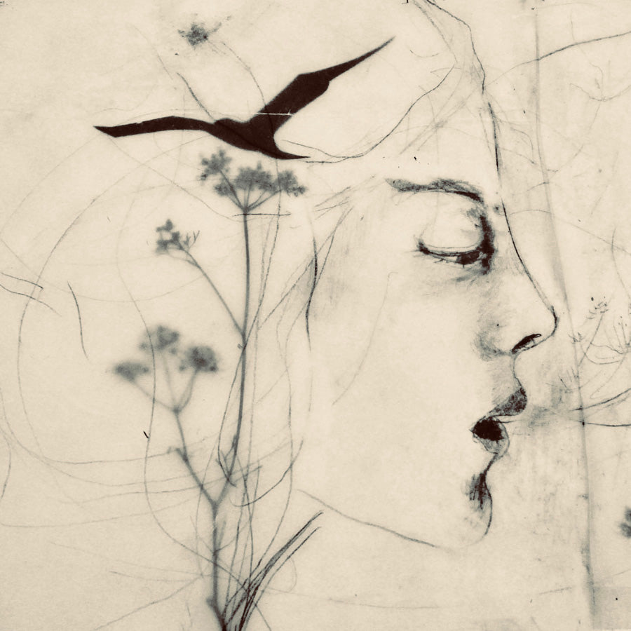 Where the Birds Grow