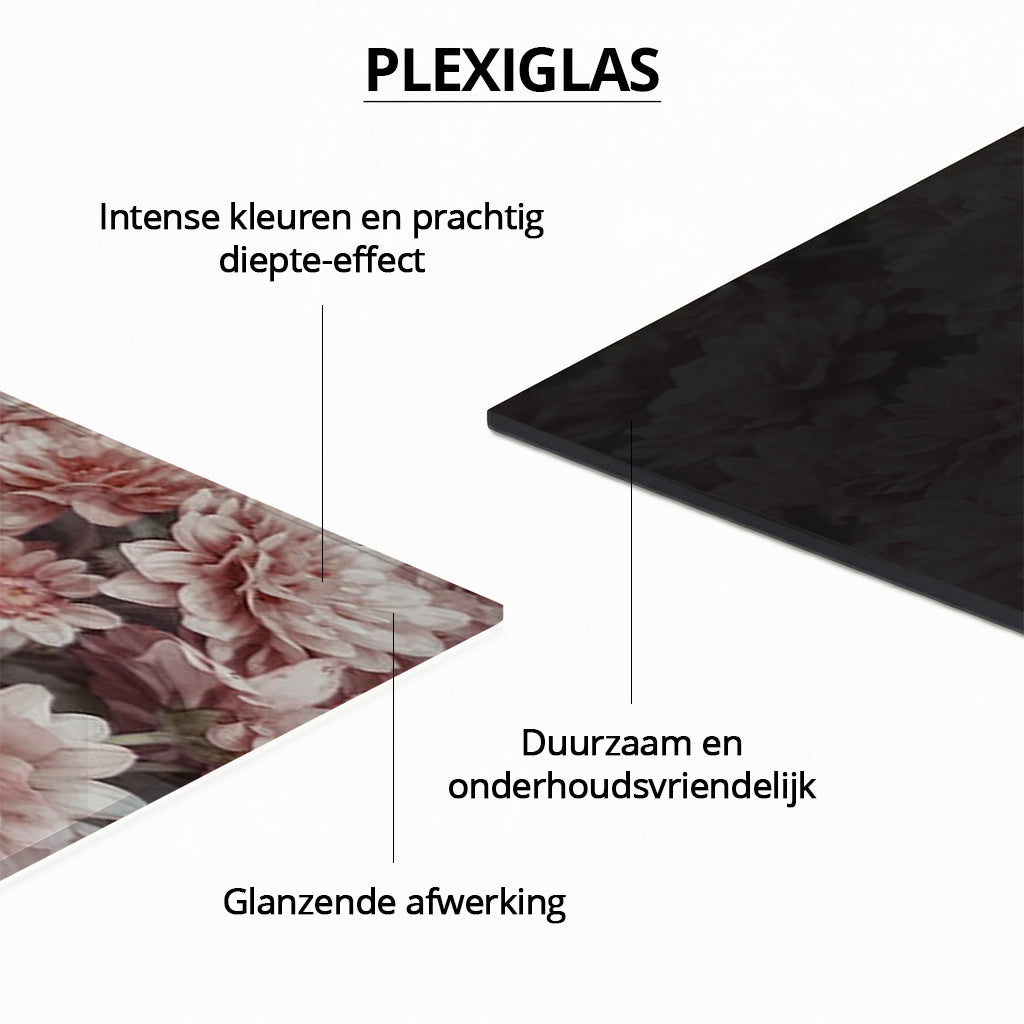 Birth Poster Lion Red