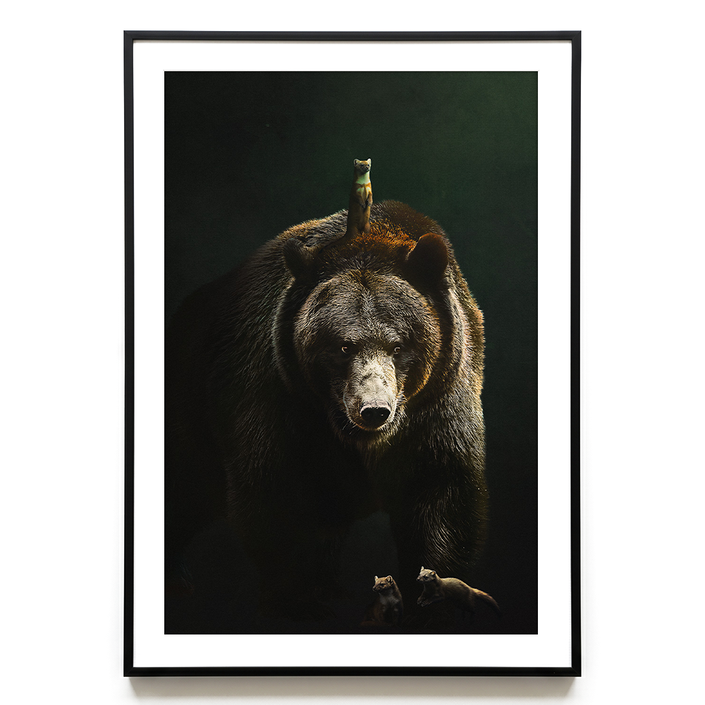 Bear with Martens EU