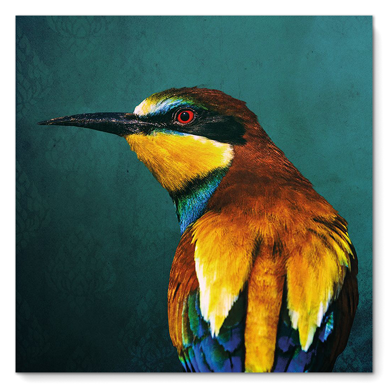 Bee-eater
