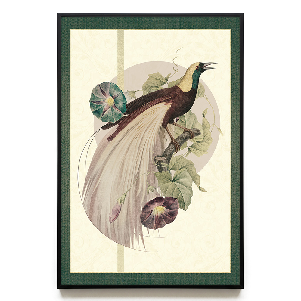 Bird of Paradise #2 EU
