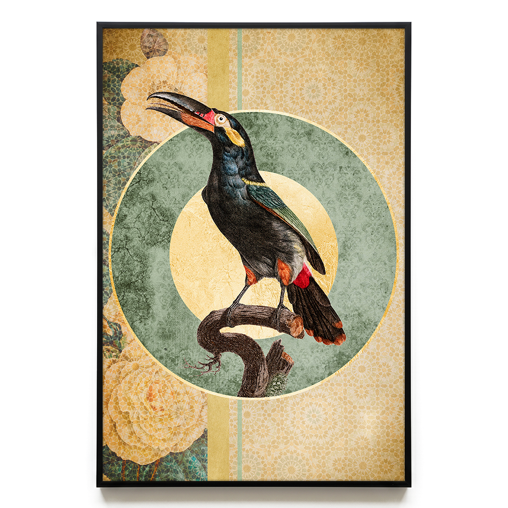 Bird of Paradise #3 EU