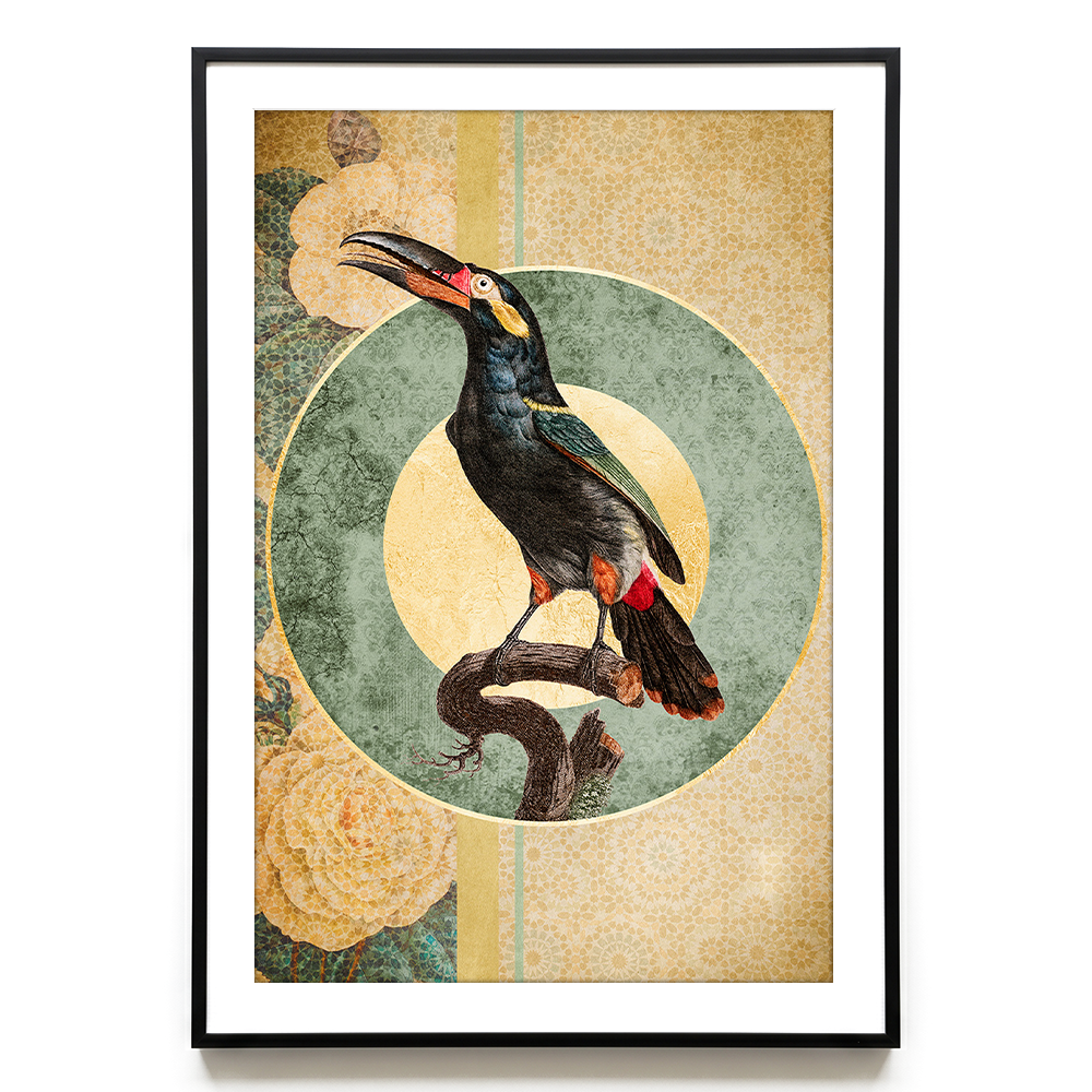 Bird of Paradise #3 EU