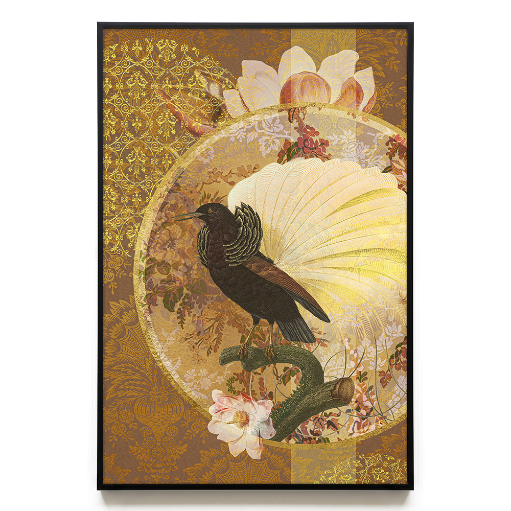 Bird of Paradise EU