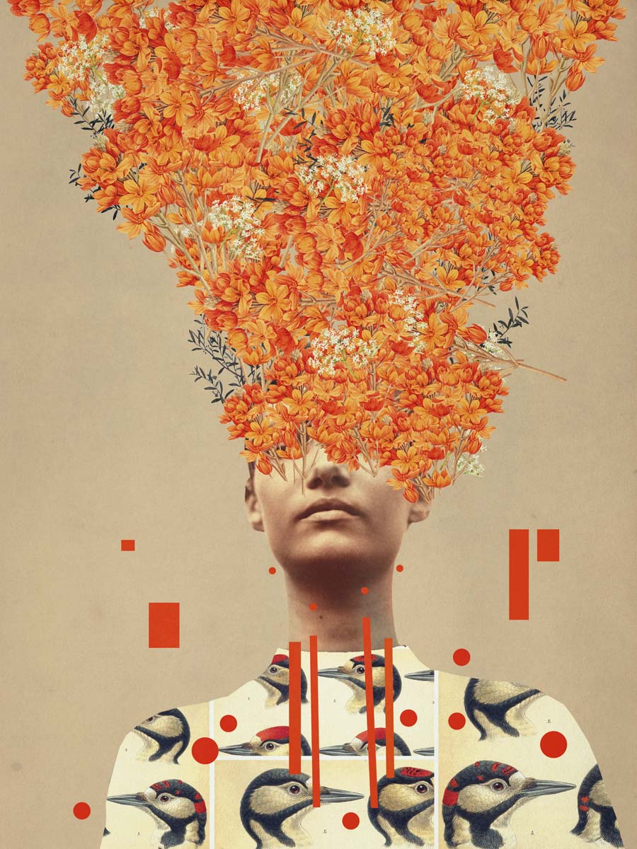 Vogel Flug im Herbst