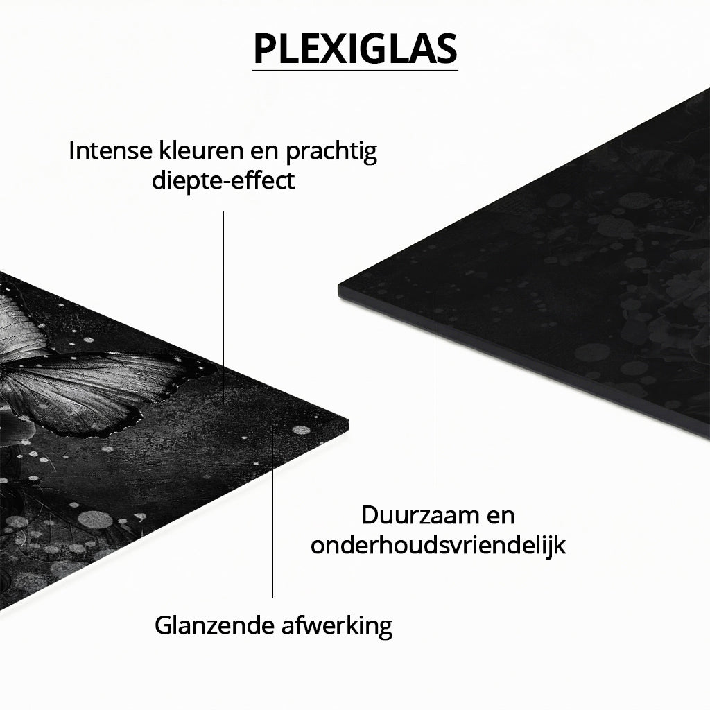 Blooming Beauty Monochrome