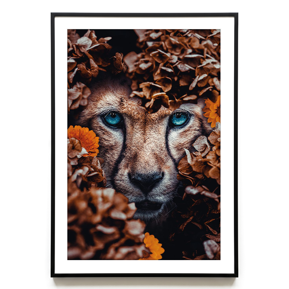 Cheetah EU