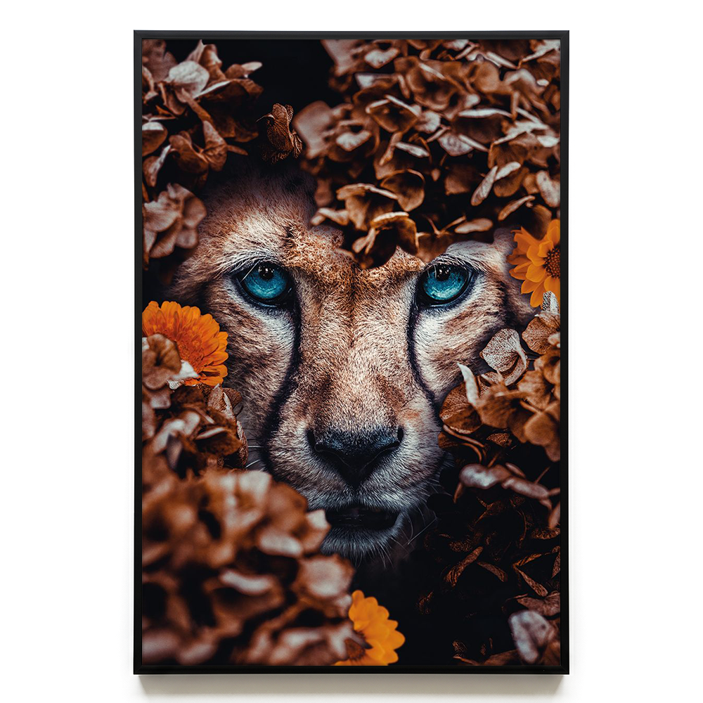 Cheetah EU